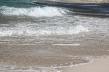 private beach tropical island