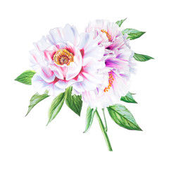 Beautiful white peony. Bouquet of flowers. Floral print. Marker drawing. Watercolor painting. Wedding and birthday composition. Greeting card. Flower painted background. Hand drawn illustration.