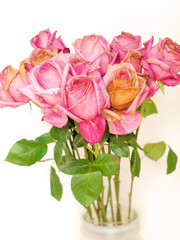 Preppy Pink Spring (4)
