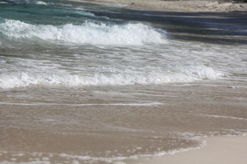 private beach tropical island