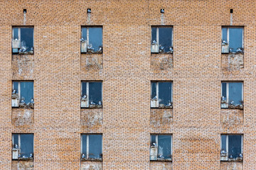 The sudden abandoned russian mining town Pyramiden, seagulls using windows for breeding, Isfjorden, Longyearbyen, Svalbard, Norway.