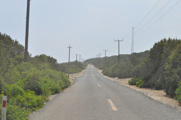 Fototapeta premium The beautiful landscape road