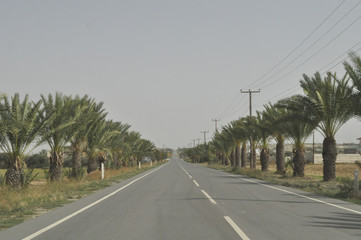 The beautiful landscape road