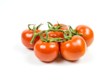 A branch of fresh red tomatoes with water drops isolated on white background Food and drinks Agriculture