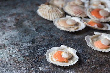 Shellfish, raw fresh scallops on black stone slate background. Seafood concepts.