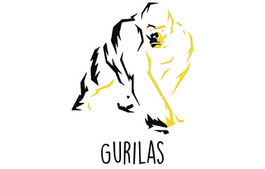 gorilla © Matheusdo