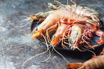 Giant Raw fresh Tiger Prawns in the plate over stone background