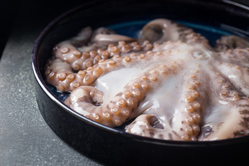 Fresh raw octopus in a bawl on dark stone background close up