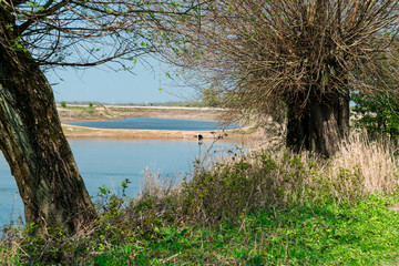 beach along river Waal in Nijmegen,  in nature park Gelderse Poort Stadswaard, The Netherlands