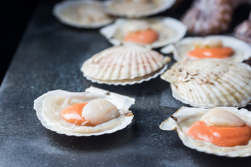 Shellfish, raw fresh scallops on black stone slate background. Seafood concepts.
