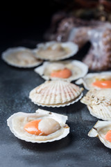 Shellfish, raw fresh scallops on black stone slate background. Seafood concepts.