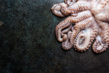 Fresh raw octopus on dark stone background close up, top view