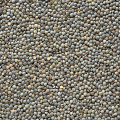 Dry green french lentils, top view. Close-up.