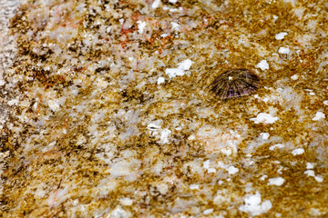 Amazing clean beach water abstract background fine art in high quality prints products