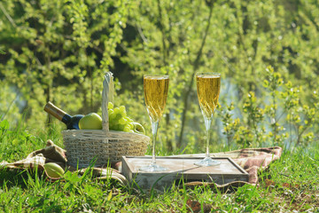 Summer Romantic Gourmet Picnic in Park Side View. On Blanket Two Goblets with Wine, Wicker Basket with Bottle of Alcoholic Liquid, Grape and Apples on Landscape Background. Bright Outdoor Composition