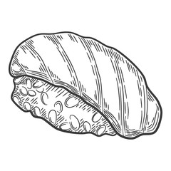 Nigiri sushi species. Engraving sketch style illustrations. Isolated line sushi on white background. Japanese food menu design elements. Vector illustration