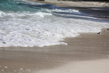 private beach tropical island