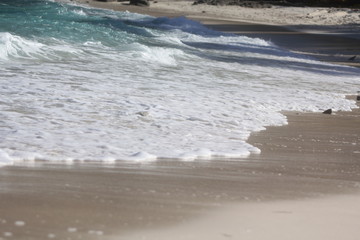 private beach tropical island