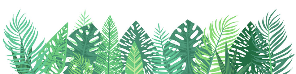 Vector horizontal tropical leaves banners on white background. Exotic botanical design for cosmetics, spa, perfume, health care products, aroma, wedding invitation. Best as web banner, illustration