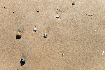 Sand und Muscheln