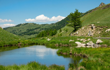 Beautiful shot of a small tranquil pond in the scenic green mountains of France.