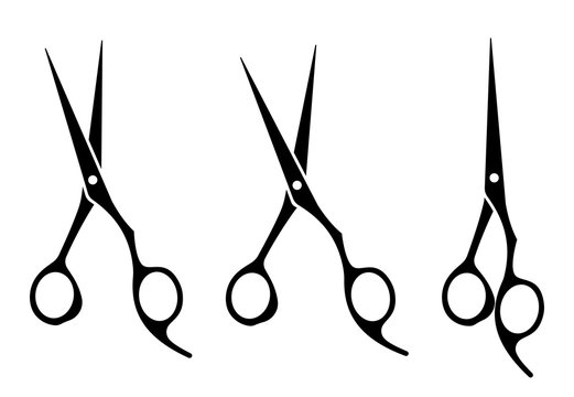 Professional hair scissor set. Vector