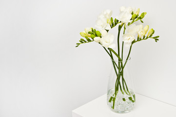Fototapeta na wymiar White flowers on glass vase home decoration.
