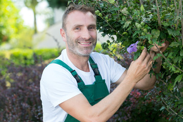 man gardener holding flower while gardening