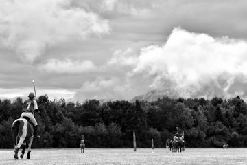 Horse polo team training in the field  in summer. Black and white.