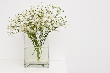 White flowers on glass vase home decoration.