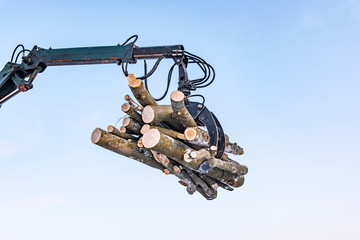 Hydraulic manipulator with logs, on sky background