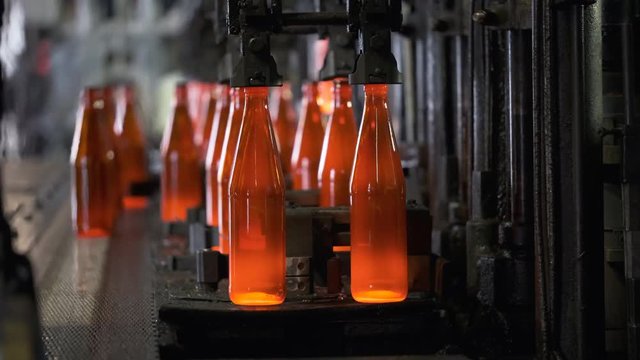 Automated line for the production of glass containers. Manufacturing industrial factory. Empty brown bottles moving on conveyor belt