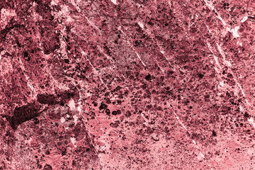 Vintage pink background. Rough painted wall of fiesta color. Imperfect plane of rosy colored. Uneven old decorative toned backdrop of rouge tint. Texture of pink hue. Ornamental stony surface.