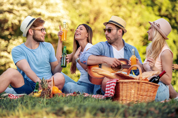 Group of friends on picnic with guitar
