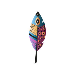 Indian eye catch bird feather with colorful design
