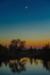 Night sky with the moon after sunset. Landscape with a tree by the lake.