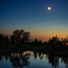 Night sky with the moon after sunset. Landscape with a tree by the lake.