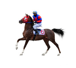 horse racing jockey isolated on white background