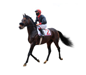 horse racing jockey isolated on white background
