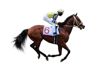 horse racing jockey isolated on white background