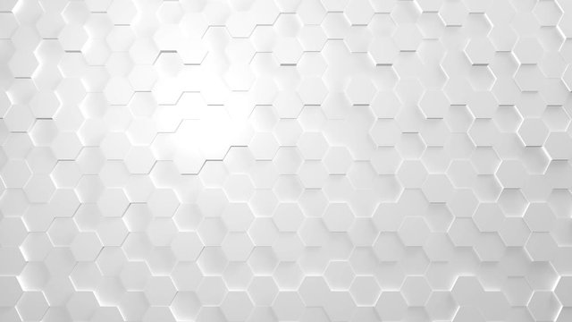 Panal blanco