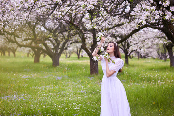 Young beautiful girl in the spring apple orchard. White lace dress on the perfect figure of the model. Fabulous image of the princess. Photo session in the open.