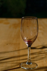 A dirty wine glass sits on a table, attracting fruit flies