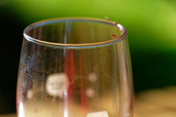 Fruit flies on the top rim of a wine glass
