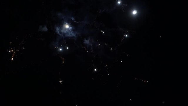 Multicolored fireworks against the black sky. In the foreground are trees-2.