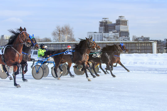 Races In Winter At The Racetrack, Horse Racing Jockey