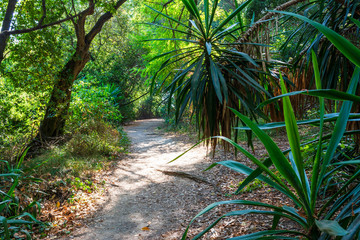 Mon Repos park, Corfu Town, Greece