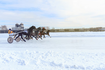 Fototapeta na wymiar horse racing jockey, winter race trot on the racetrack