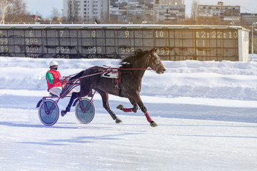 horse racing jockey, winter race trot on the racetrack
