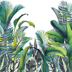 Tropical card with palm trees, banana and calathea leaves. Watercolor illustration on white background.